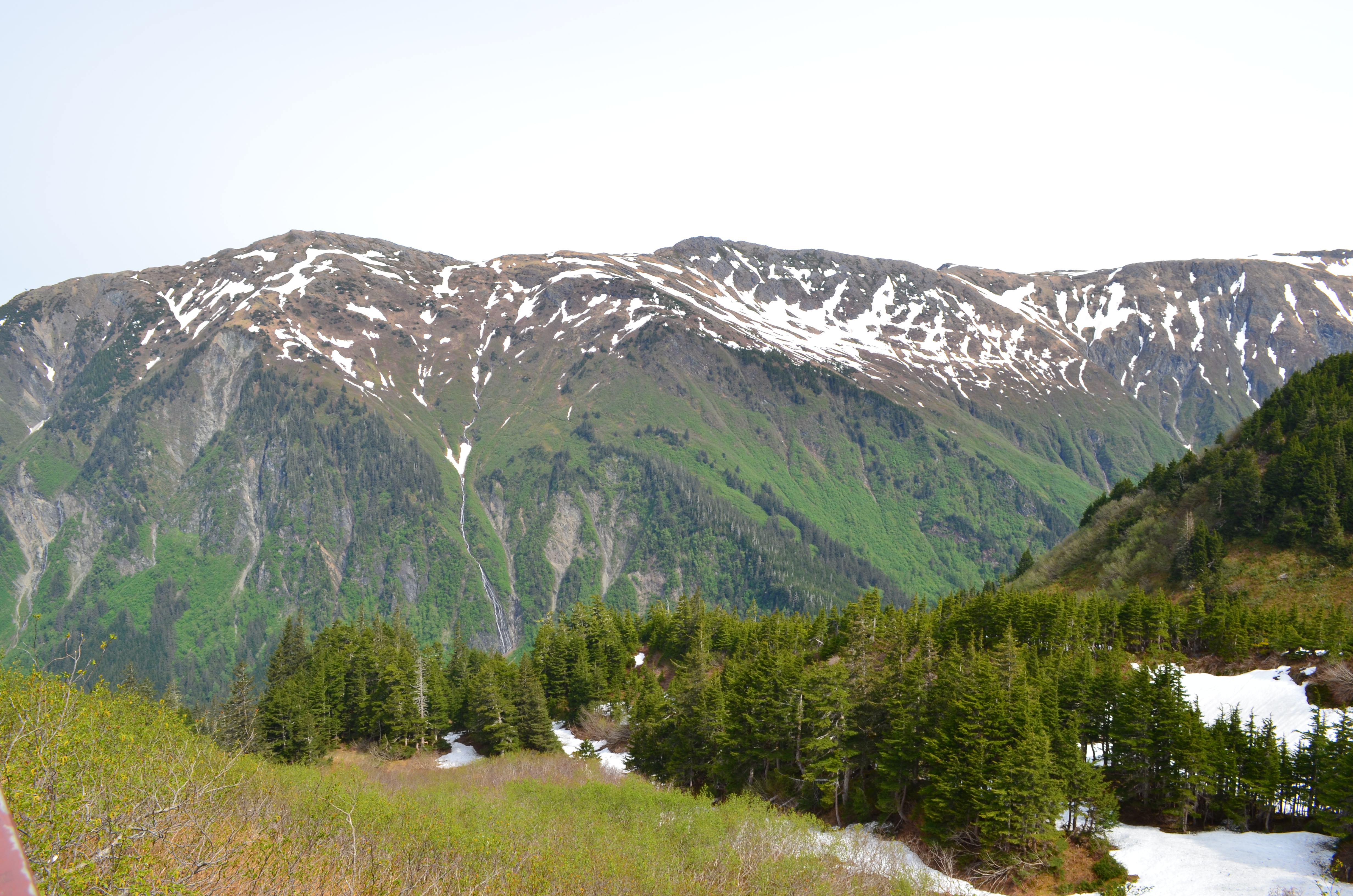 ./2017/08 - Alaska Cruise/08 - Juneau/DSC_0921.JPG